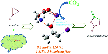Graphical abstract: Amino acid/KI as multi-functional synergistic catalysts for cyclic carbonate synthesis from CO2 under mild reaction conditions: a DFT corroborated study
