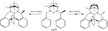 Graphical abstract: It's all about Me: methyl-induced control of coordination stereochemistry by a flexible tridentate N,C,N′ ligand