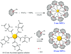 Graphical abstract: Preparation and characterization of Au nanoparticles capped with mercaptocarboranyl clusters