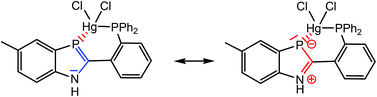 Graphical abstract: Impact of high π-density on the coordination properties of π-excess aromatic neutral σ2P ligands – P(π)-donor bonds to Ag+ and HgCl2