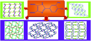 Graphical abstract: Five metal–organic frameworks from 3,4-dimethylphenyl substituted imidazole dicarboxylate: syntheses, structures and properties