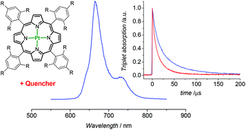 Graphical abstract: Protecting the triplet excited state in sterically congested platinum porphyrin