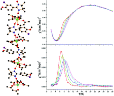 Graphical abstract: A new family of Ln–radical chains (Ln = Nd, Sm, Gd, Tb and Dy): synthesis, structure, and magnetic properties