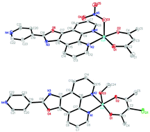 Graphical abstract: Synthesis, characterization, DNA binding, cleavage activity and cytotoxicity of copper(ii) complexes
