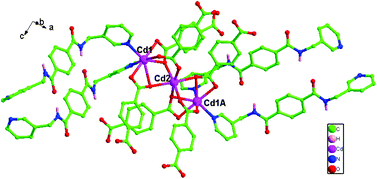 Graphical abstract: Exceptional temperature-dependent coordination sites from acylamide groups