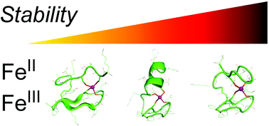 Graphical abstract: Peptide-based FeS4 complexes: the zinc ribbon fold is unsurpassed to stabilize both the FeII and FeIII states