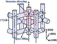 Graphical abstract: An insight into the role of the surfactant CTAB in the formation of microporous molecular sieves