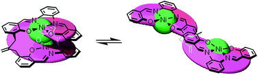 Graphical abstract: Spontaneous helical folding of bis(Ni-salphen) complexes in solution and in the solid state: spectroscopic tracking of the unfolding process induced by Na+ ions