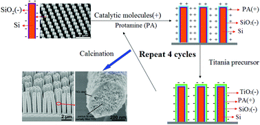 Graphical abstract: Fabrication of N-doped TiO2 coatings on nanoporous Si nanopillar arrays through biomimetic layer by layer mineralization