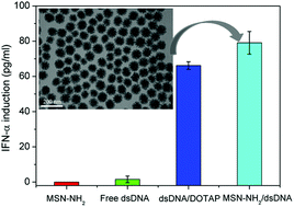Graphical abstract: Mesoporous silica nanoparticles for enhancing the delivery efficiency of immunostimulatory DNA drugs