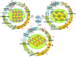 Graphical abstract: Three 3D silver-bis(triazole) metal–organic frameworks stabilized by high-connected Wells–Dawson polyoxometallates