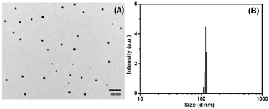 Graphical abstract: Bilayer stabilized Ln3+-doped CaMoO4 nanocrystals with high luminescence quantum efficiency and photocatalytic properties