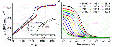 Graphical abstract: Observation of hysteretic magnetic phase transitions coupled with orientation motion of ions and dielectric relaxation in a one-dimensional nickel-bis-dithiolene molecule solid