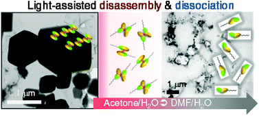 Graphical abstract: Light-responsive three-dimensional microstructures composed of azobenzene-based palladium complexes