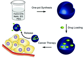 Graphical abstract: Uniform iron oxide hollow spheres for high-performance delivery of insoluble anticancer drugs
