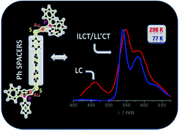 Graphical abstract: Different emissive properties in dithiolate gold(i) complexes as a function of the presence of phenylene spacers