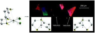 Graphical abstract: Gold(iii) assisted C–H activation of 1,4,7-trithiacyclononane: synthesis and spontaneous resolution of a bicyclic chiral sulfonium salt