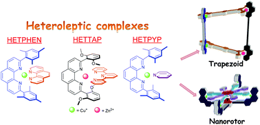 Graphical abstract: Dynamic heteroleptic metal-phenanthroline complexes: from structure to function