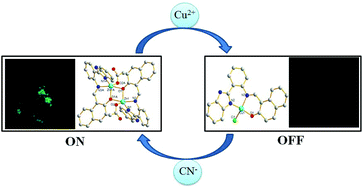 Graphical abstract: A highly selective and sensitive Zn(ii) complex-based chemosensor for sequential recognition of Cu(ii) and cyanide