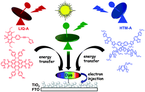 Graphical abstract: Bio-inspired artificial light-harvesting antennas for enhancement of solar energy capture in dye-sensitized solar cells