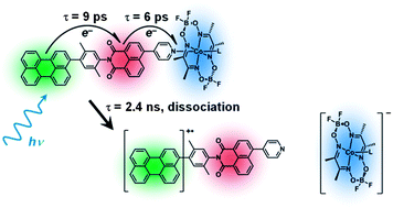 Graphical abstract: Photoinitiated multi-step charge separation and ultrafast charge transfer induced dissociation in a pyridyl-linked photosensitizer–cobaloxime assembly