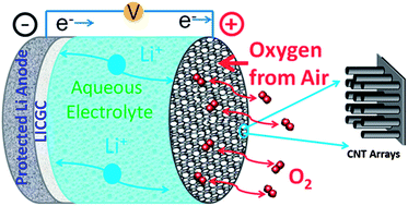 Graphical abstract: Hybrid Li-air battery cathodes with sparse carbon nanotube arrays directly grown on carbon fiber papers