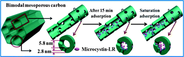 Graphical abstract: Ordered mesoporous carbons and their corresponding column for highly efficient removal of microcystin-LR