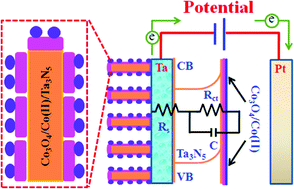 Graphical abstract: Cobalt-bilayer catalyst decorated Ta3N5 nanorod arrays as integrated electrodes for photoelectrochemical water oxidation