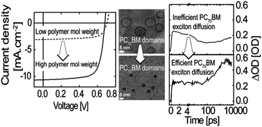 Graphical abstract: Towards optimisation of photocurrent from fullerene excitons in organic solar cells