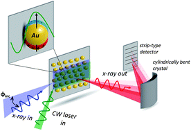 Graphical abstract: Direct observation of charge separation on Au localized surface plasmons