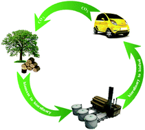 Graphical abstract: Upgrading of lignin-derived bio-oils by catalytic hydrodeoxygenation