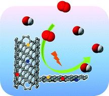 Graphical abstract: Heterogeneous nanocarbon materials for oxygen reduction reaction