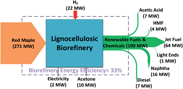 Graphical abstract: Production of renewable jet fuel range alkanes and commodity chemicals from integrated catalytic processing of biomass