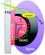 Graphical abstract: Investigating charge dynamics in halide perovskite-sensitized mesostructured solar cells