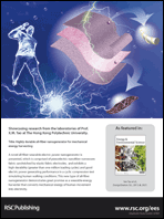 Graphical abstract: Back cover