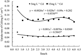 Graphical abstract: Cadmium uptake, chemical forms, subcellular distribution, and accumulation in Echinodorus osiris Rataj