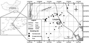 Graphical abstract: Heavy metals and organic compounds contamination in soil from an e-waste region in South China