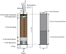 Graphical abstract: Performance of a vertical subsurface flow (VSF) wetland treatment system using woodchips to treat livestock stormwater