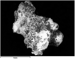 Graphical abstract: Characterising the morphological properties and surface composition of radium contaminated particles: a means of interpreting origin and deposition