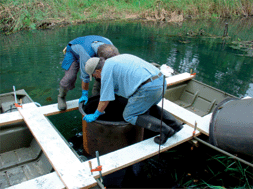 Graphical abstract: PAH concentration gradients and fluxes through sand cap test cells installed in situ over river sediments containing coal tar