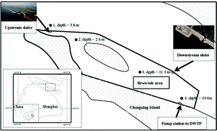 Graphical abstract: Principal component analysis to assess the composition and fate of impurities in a large river-embedded reservoir: Qingcaosha Reservoir