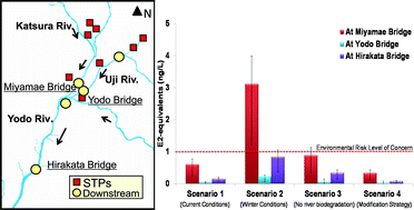 Graphical abstract: Elevated risk from estrogens in the Yodo River basin (Japan) in winter and ozonation as a management option
