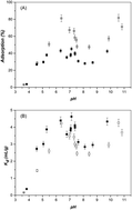 Graphical abstract: The adsorption behavior of U(vi) on granite