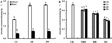 Graphical abstract: Bioaccumulation and degradation of atrazine in several Chinese ryegrass genotypes