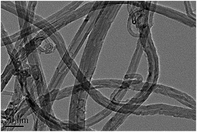 Graphical abstract: Toxicological effects of multi-walled carbon nanotubes adsorbed with nonylphenol on earthworm Eisenia fetida