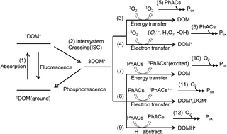 Graphical abstract: Photo-transformation of pharmaceutically active compounds in the aqueous environment: a review