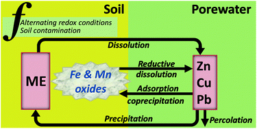 Graphical abstract: Leaching potential of metallic elements from contaminated soils under anoxia