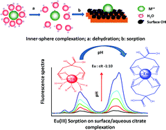 Graphical abstract: Influences of different environmental parameters on the sorption of trivalent metal ions on bentonite: batch sorption, fluorescence, EXAFS and EPR studies