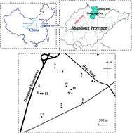 Graphical abstract: Migration, speciation and distribution of heavy metals in an oil-polluted soil affected by crude oil extraction processes