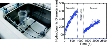 Graphical abstract: Disaggregation of heteroaggregates composed of multiwalled carbon nanotubes and hematite nanoparticles